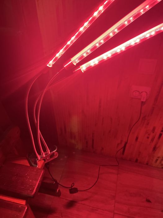 Лампа для рослин