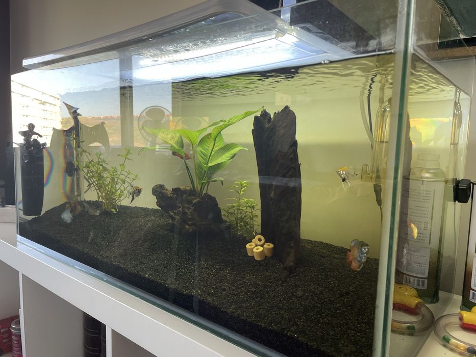 Aquário 115 litros