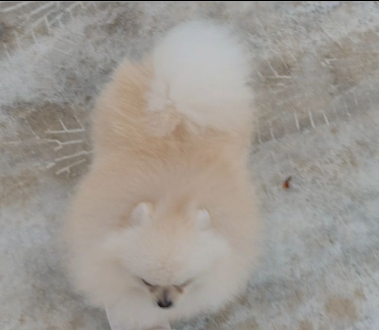 Хлопчик без недоліків