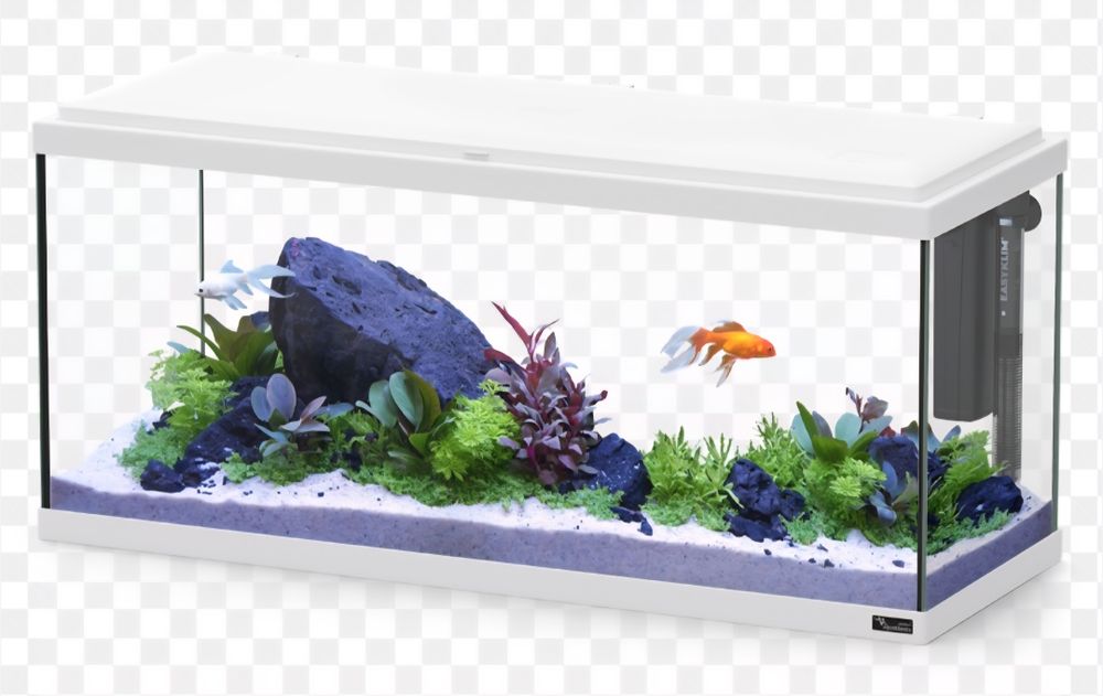 Aquário de diferentes tamanhos