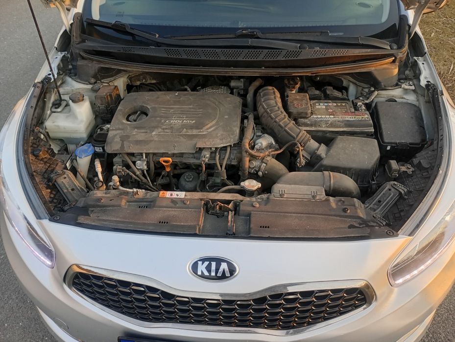 Kia cee'd combi 1.6 crdi 2017 rok