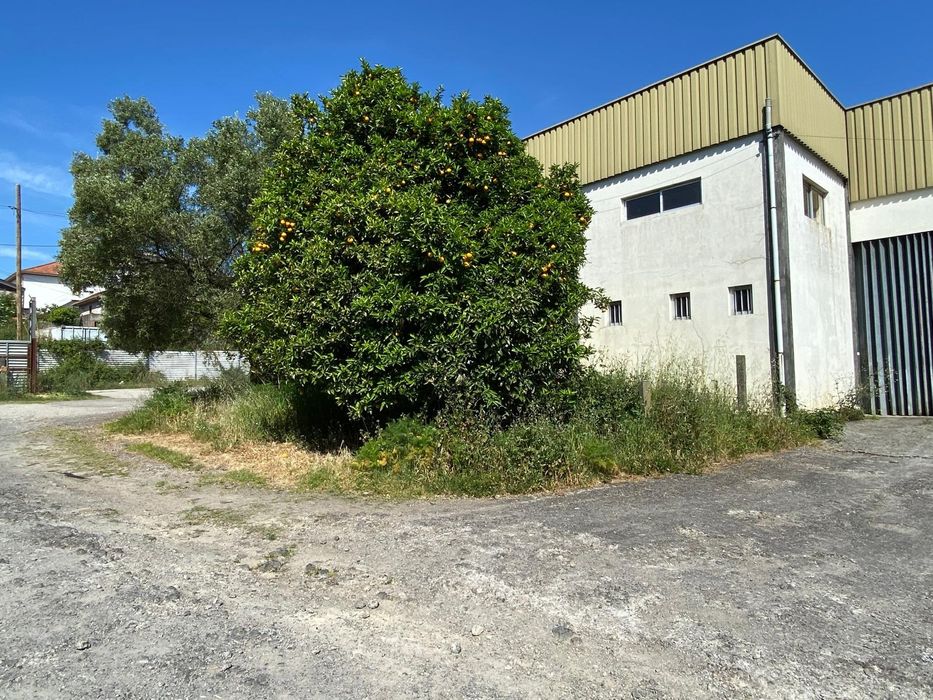 Armazém com terreno de 11925m2