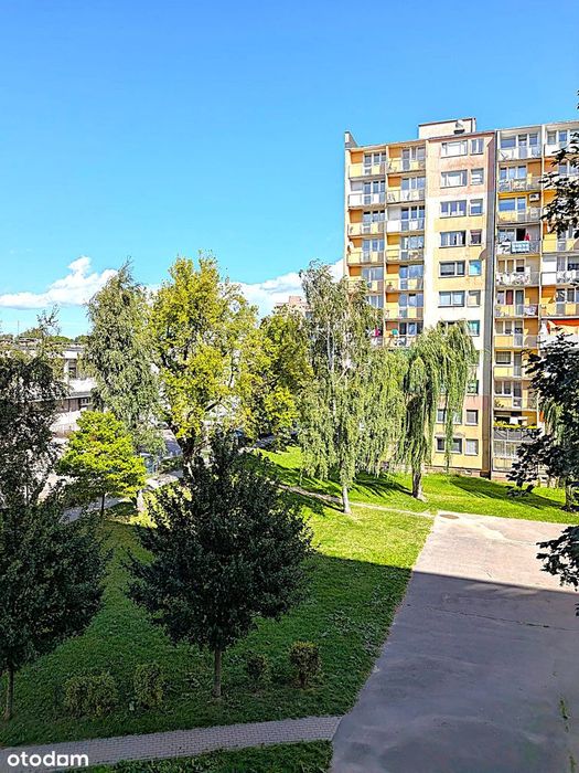 Mieszkanie 3 pokoje w Łodzi