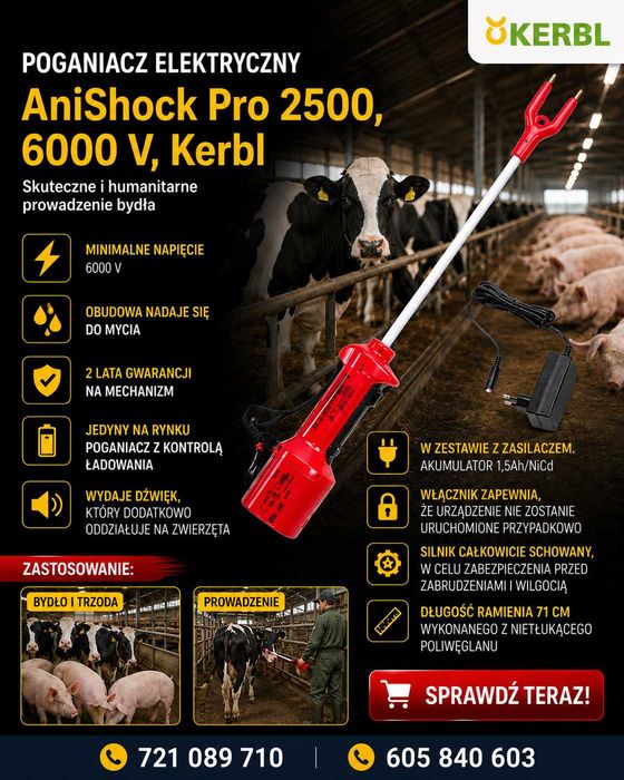Silny Poganiacz Akumulatorowy Magic Shock Pro 6000 V