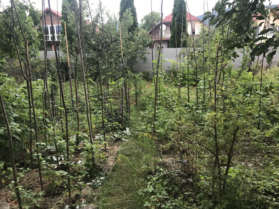 Продам будинок Свалява вул.Визволення