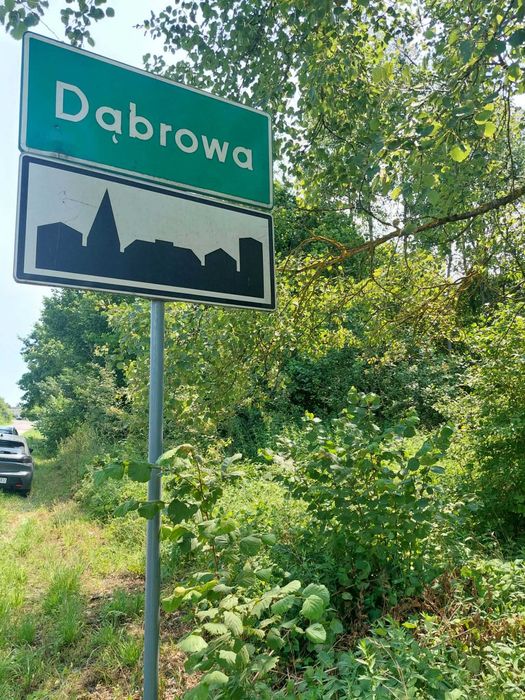 Na sprzedaż atrakcyjne działki z możliwością zabudowy siedliskowej - Dąbrowa, gmina Potworów. OPIS!