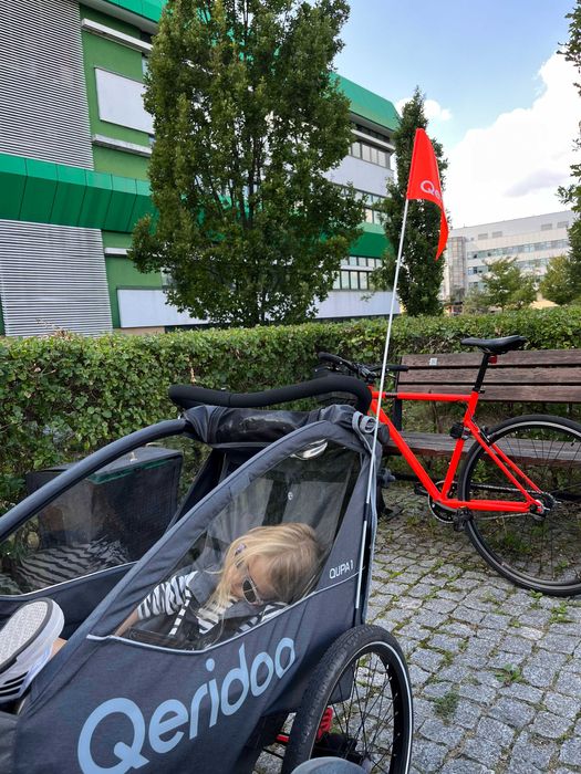 Qeridoo Qupa 1 Przyczepka Rowerowa