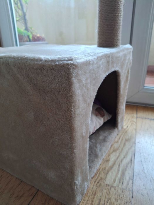 Torre, arranhador, parque, cama/toca para gato