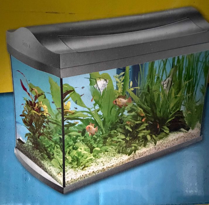 Akwarium TETRA AQUAART 60L — komplet