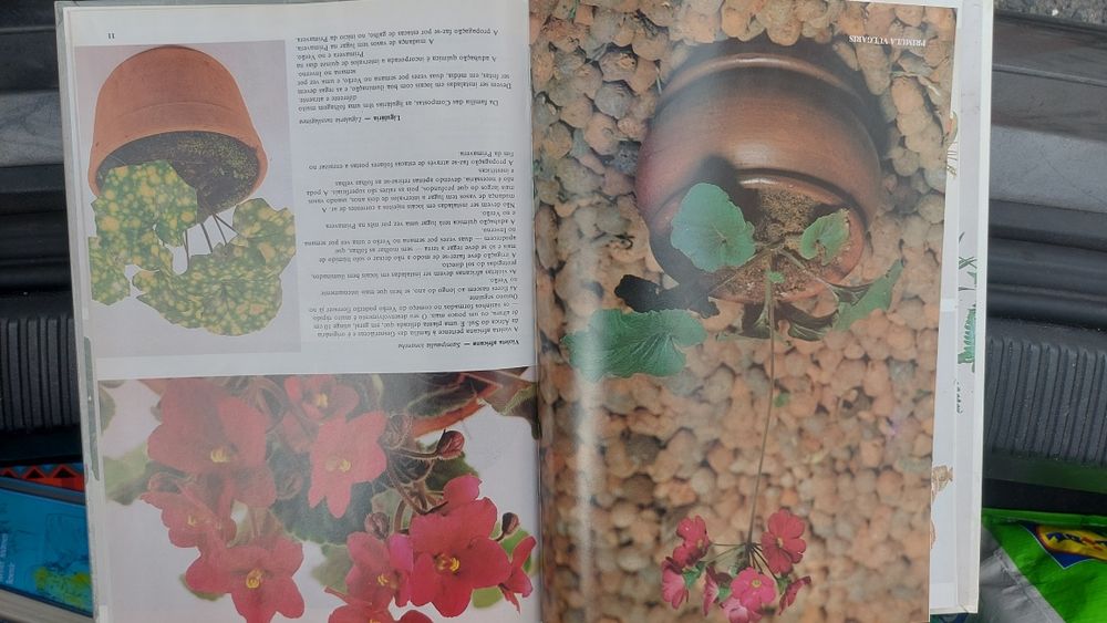 Aprenda a Construir Vasos Artísticos do Mundo Editorial