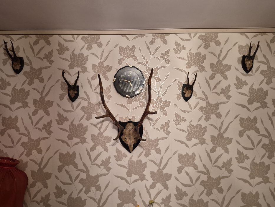 Sprzedam poraża polecam