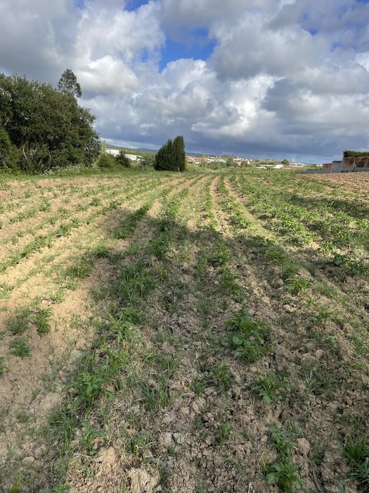 Vendo ou troco Terreno rustico