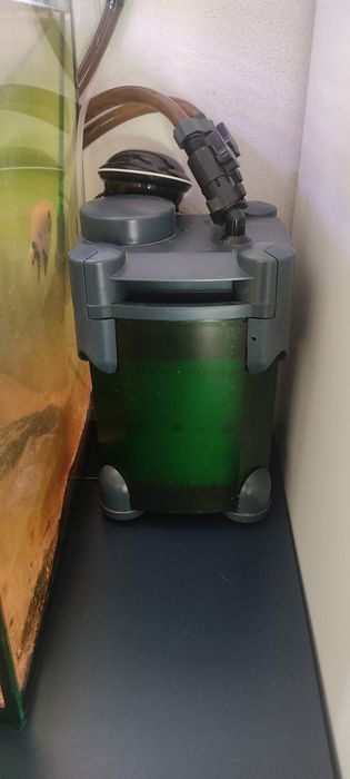 Três aquarios+peixes