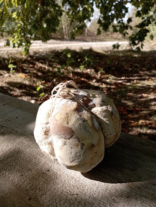 Мацик поліський домашній, каврук, сиров'ялене м'ясо