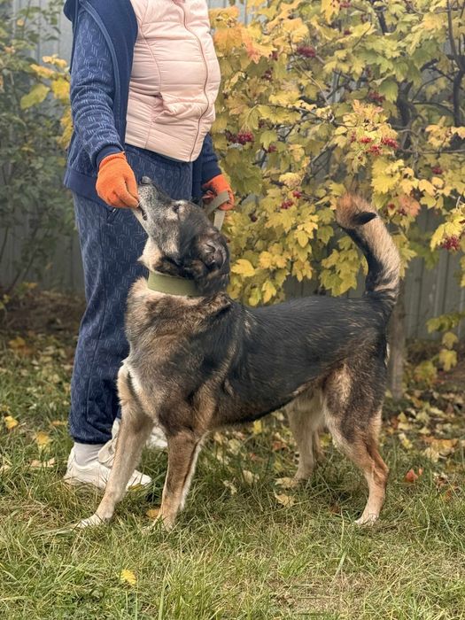Хлопчик, віддаємо