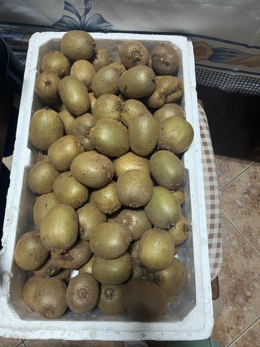 Kiwi ao kilo caseiro