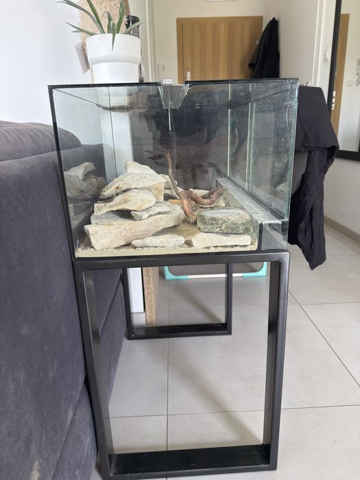 Terrarium z stolikiem