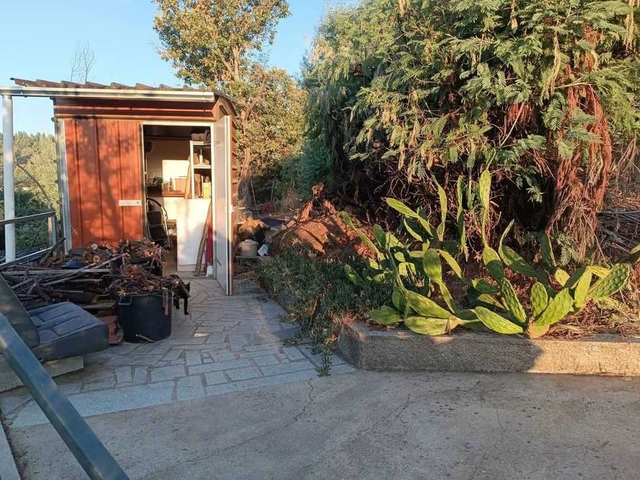 VENDA Quinta de 1,4 ha com casa de Arrumos em Vale de Prazeres, Portugal - 119.000€