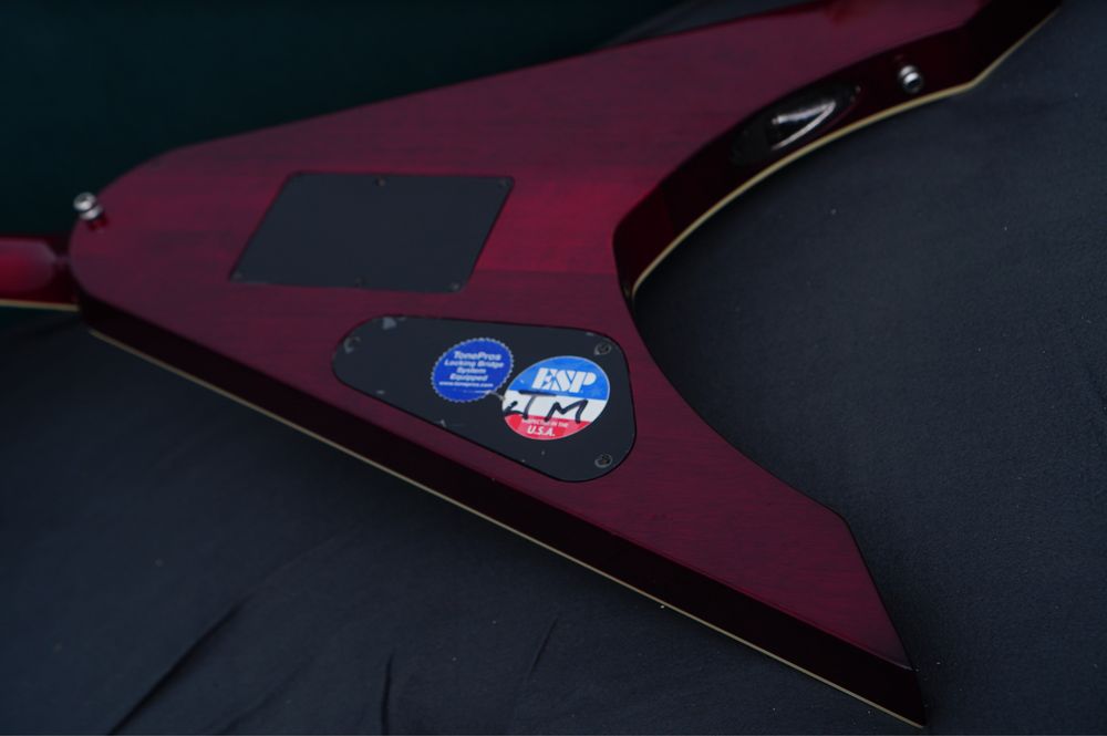 Esp ltd ninja 600 Michael Amott