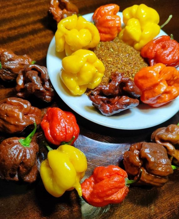 Carolina Reaper надгострий перець(мелений) 20 грам.