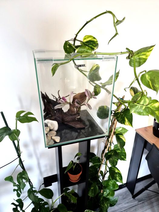 Akwarium aquael kostka krewetkarium terrarium