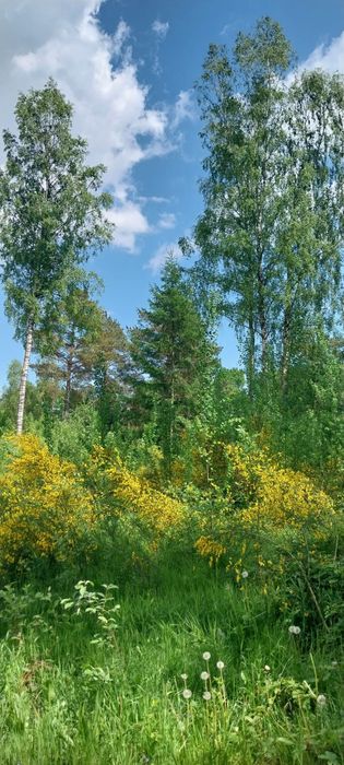Działka  z miejscowym  planem zagospodarowania przestrzennego - Widok 2