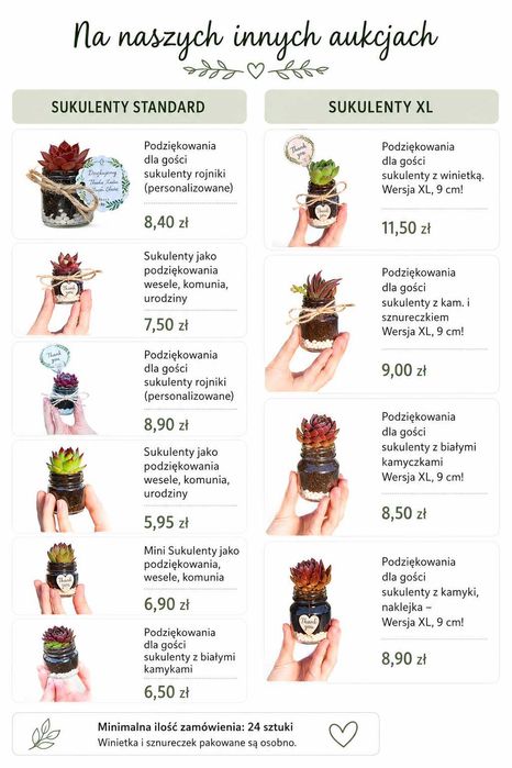 Sukulenty, podziękowania dla gości od producenta!