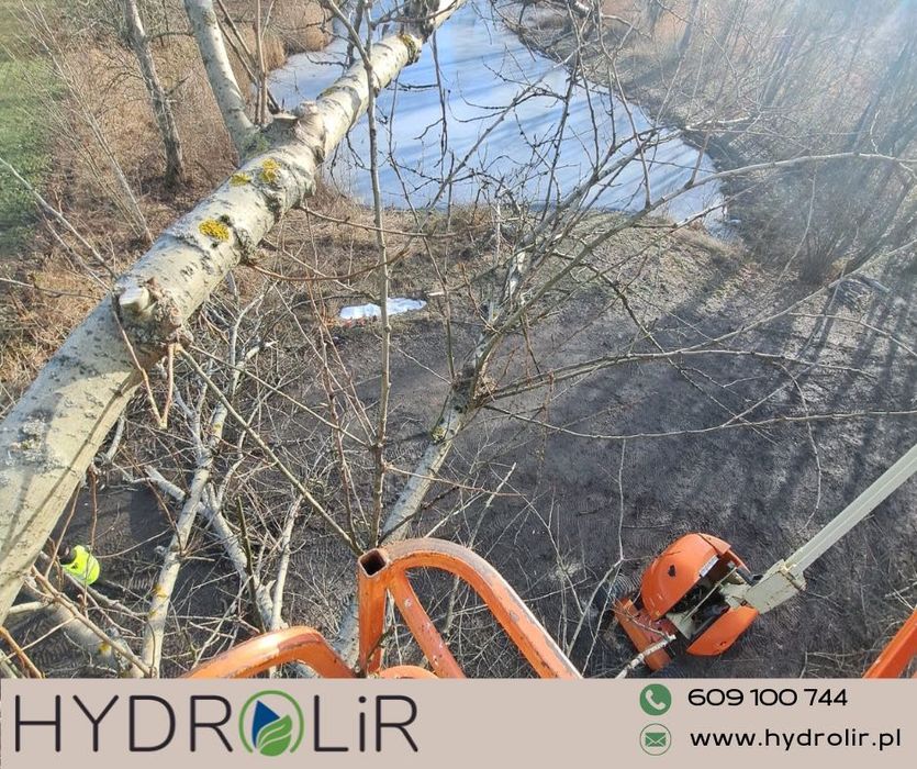 Wycinka drzew i krzewów/ przycinanie koron drzew
