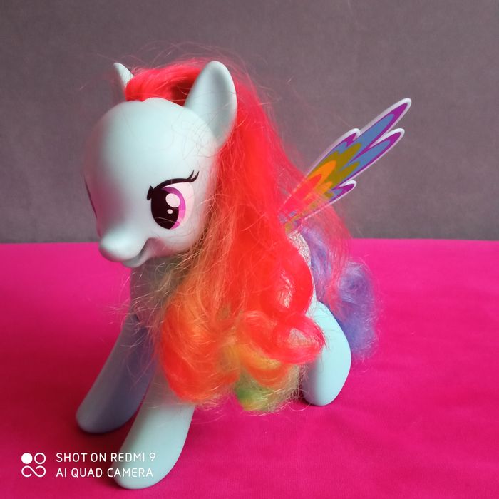 Kucyk Rainbow Dash