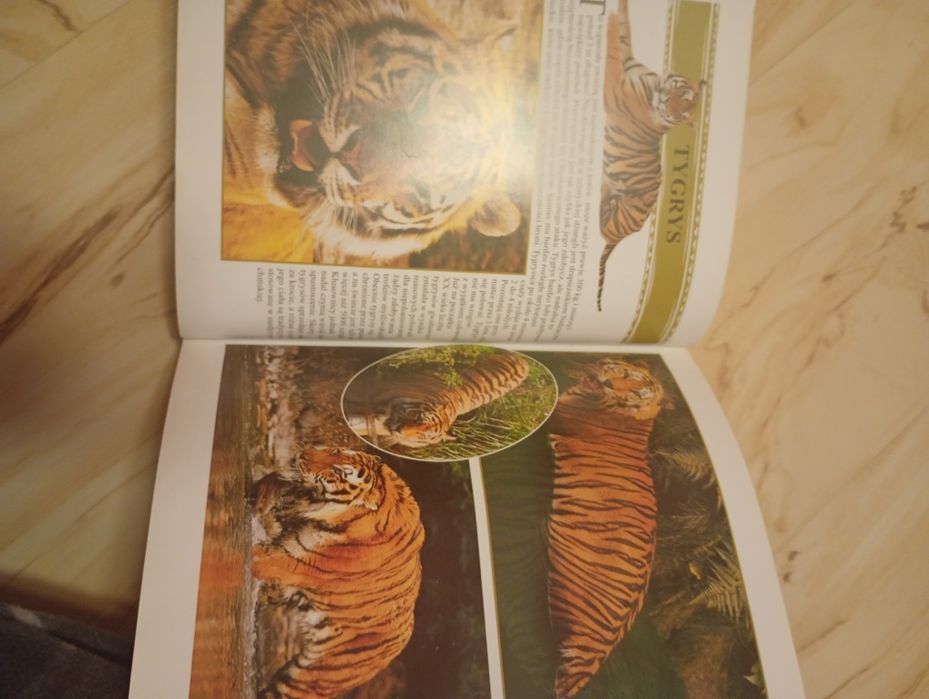 Encyklopedia zwierząt 650stron
