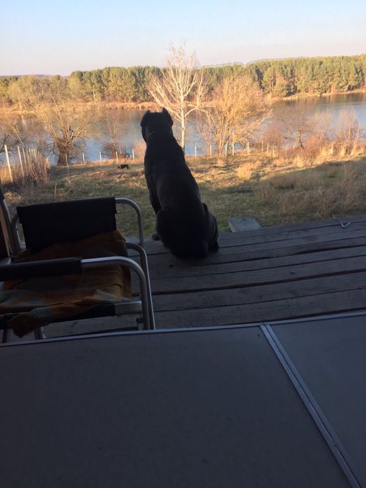 Дом по адресу ул. Магистратская (площадь 160 м²) - Atlanta.ua - фото 5