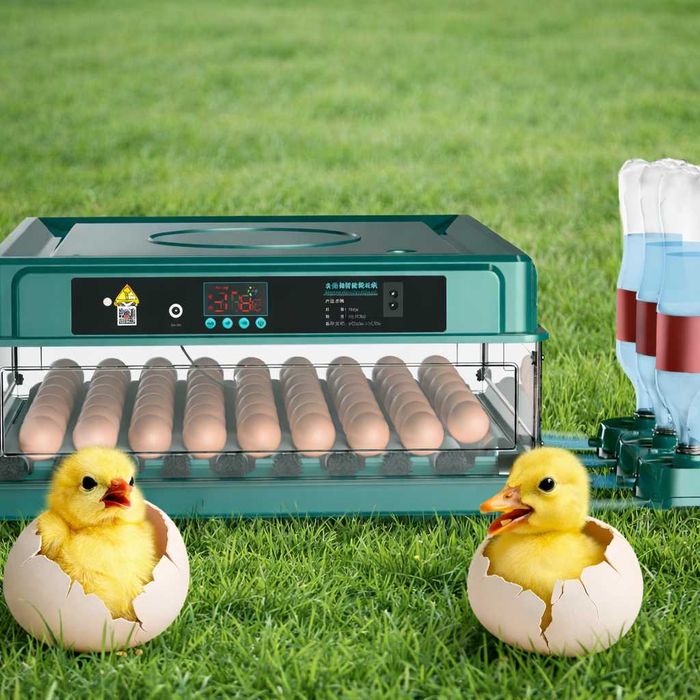 Інкубатор автоматичний на 70 яєць  (220/12В) з цифровим контроллером