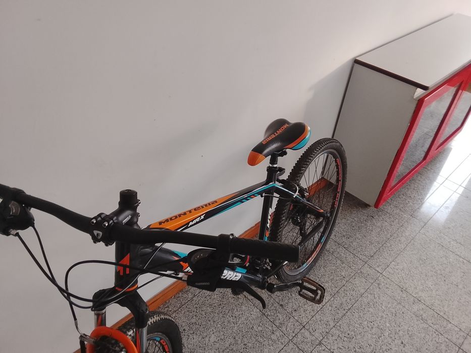 Bicicleta monteria