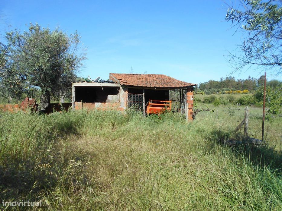 Quinta
