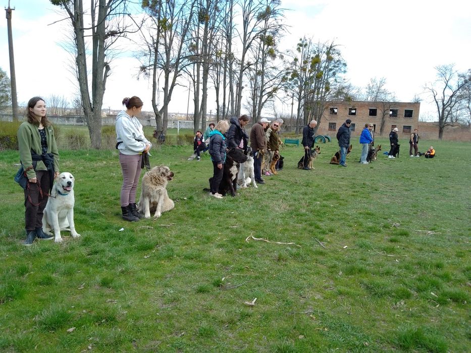 Послуги Кінолога
