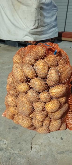 Sprzedam Ziemniaki Jadalne SORAYA 15kg  pakowane