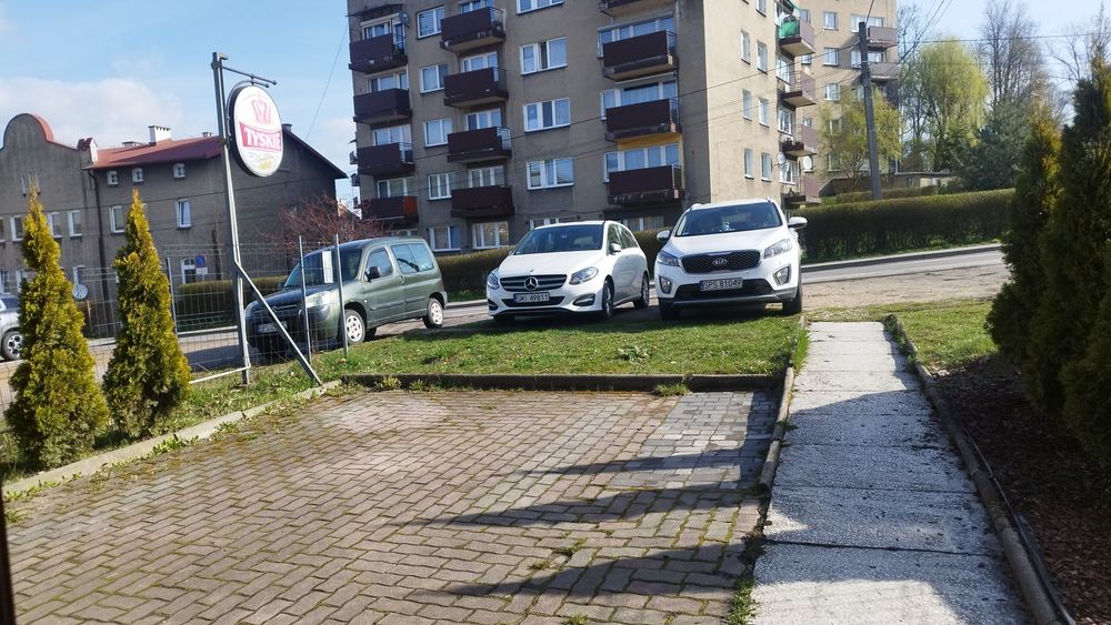 Zdjęcie 8