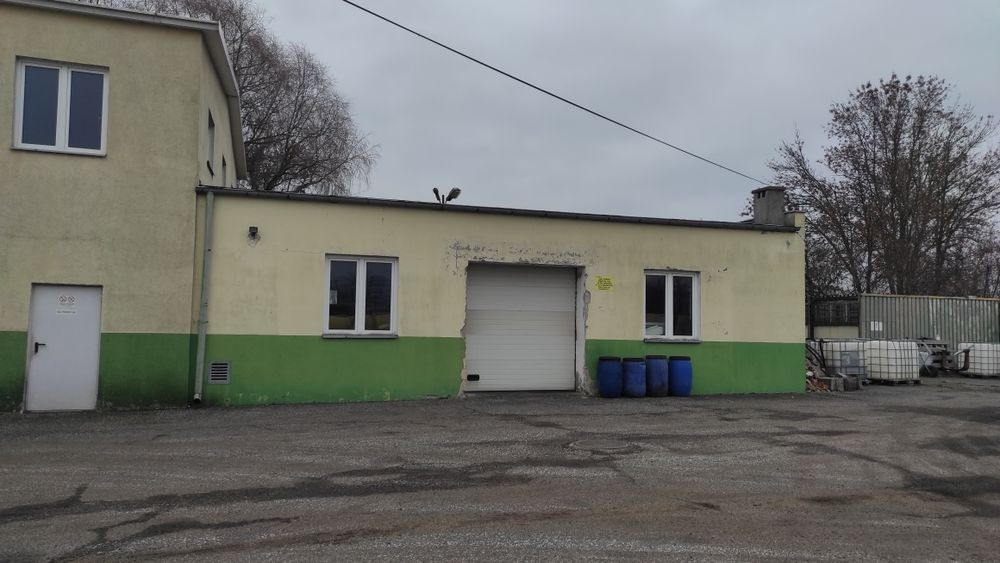 Zdjęcie 5