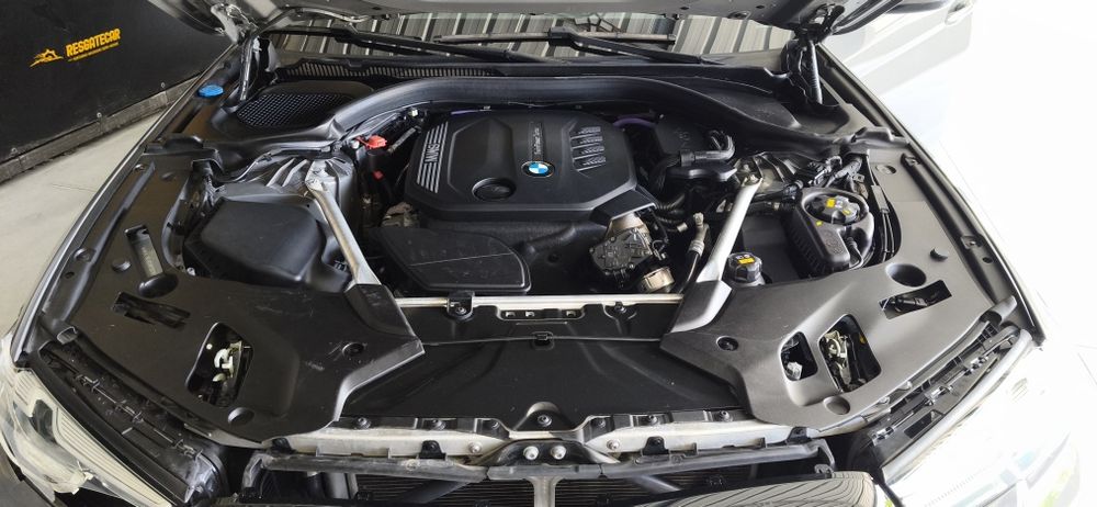 BMW 520d salvado