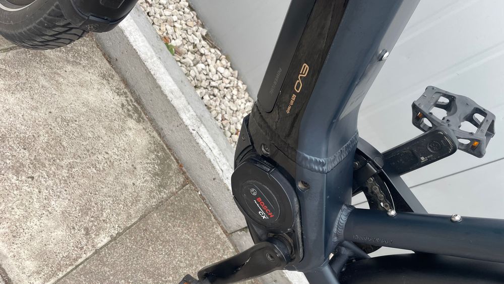 Rower elektryczny Pegasus