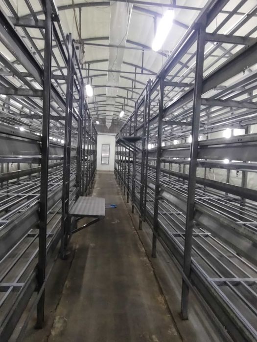 Sprzedam funkcjonujący obiekt pieczarkarni