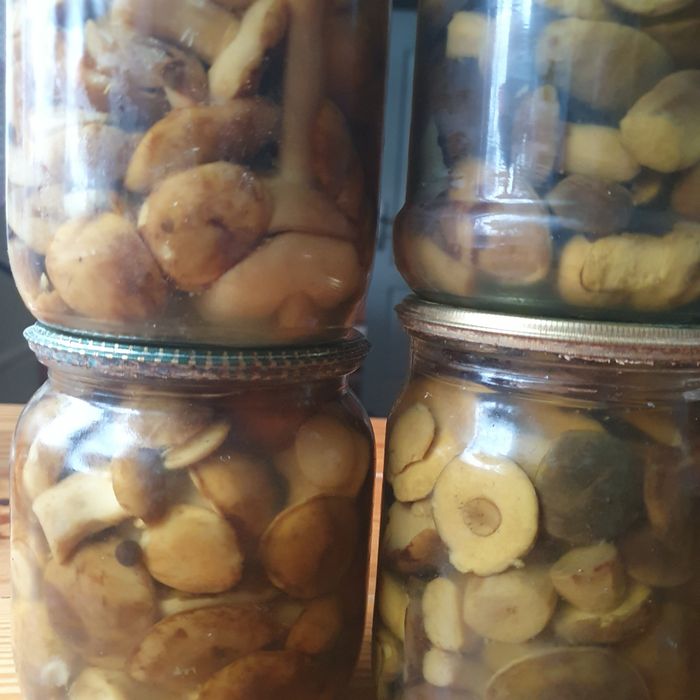 Гриби мариновані. Польський.