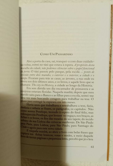 Brasil e Portugal, uns contos e tal, Maria Lúcia Perrone Passos