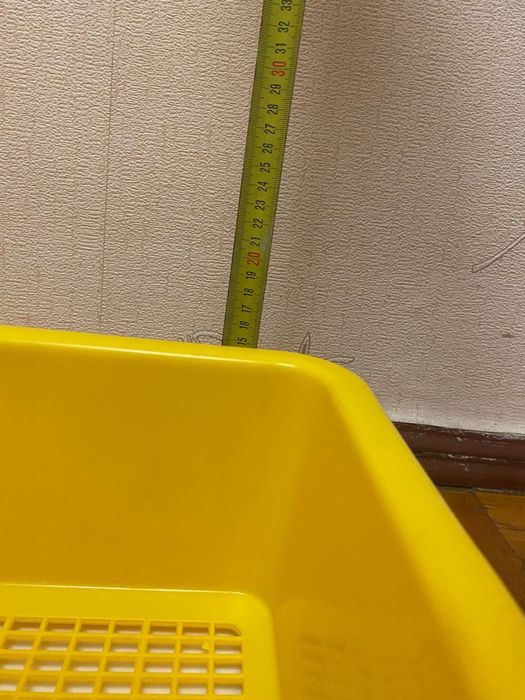 Собачий лоток