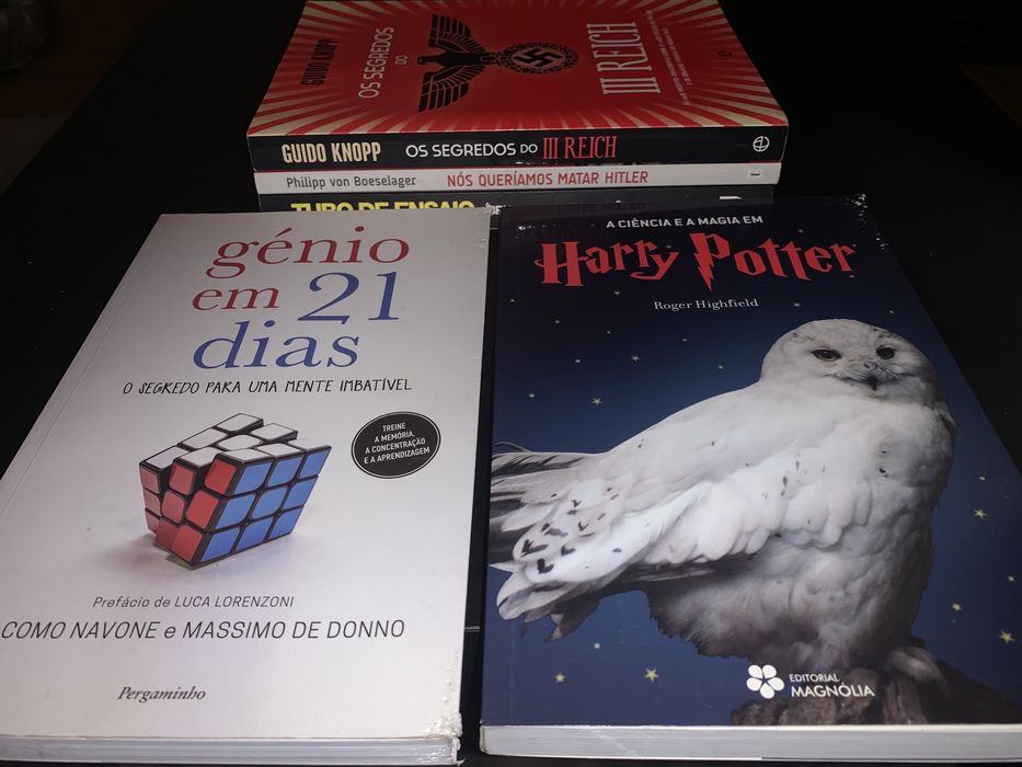 Conjunto de 13 Livros (Temas Diversos)
