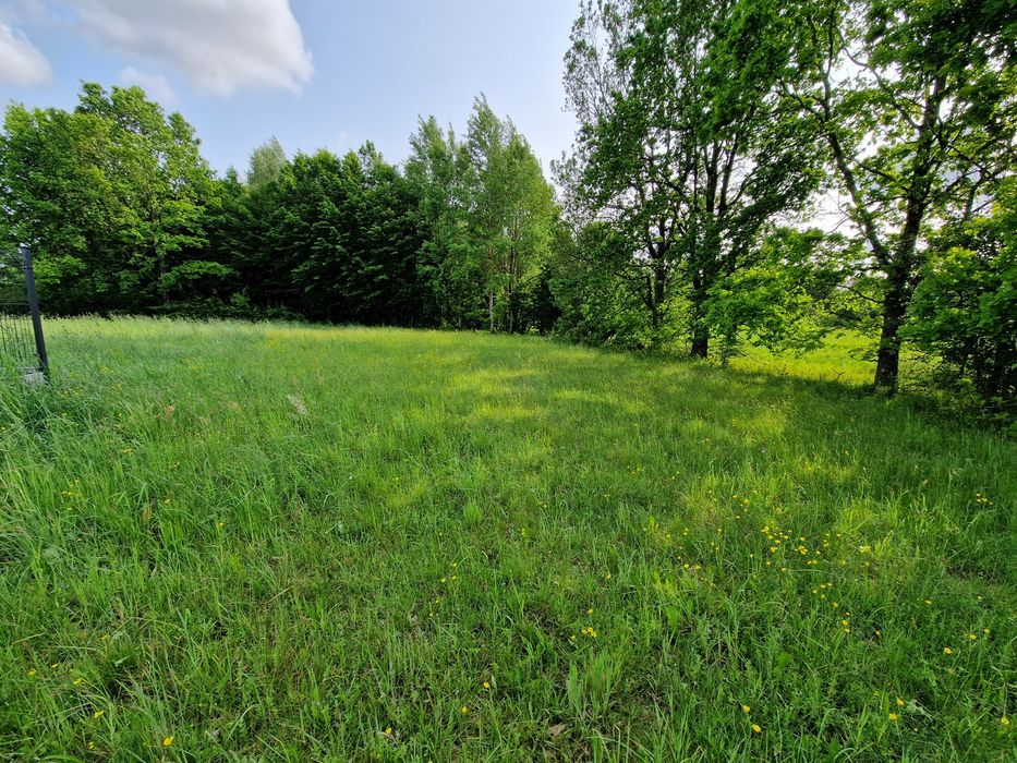 Sprzedam działki budowlane - Widok 2
