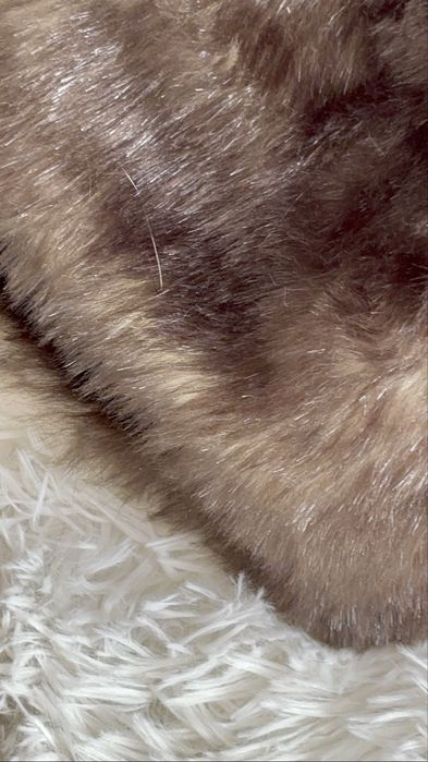 Хутряна шапка Хаскі