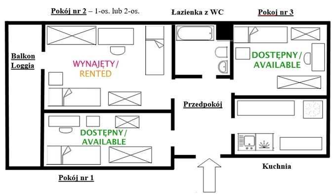 Od 25.06.2026 - 1-os.pokój w centrum Torunia/ Single room in the centre of Toruń - Więcej