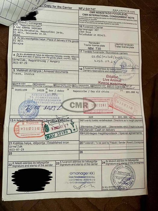 Інкубаційне яйце