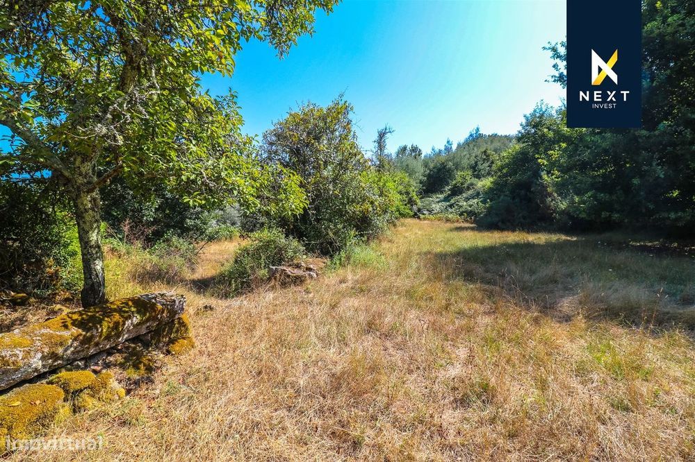 Quintinha com moradia para reconstruir a 10 minutos de Viseu.